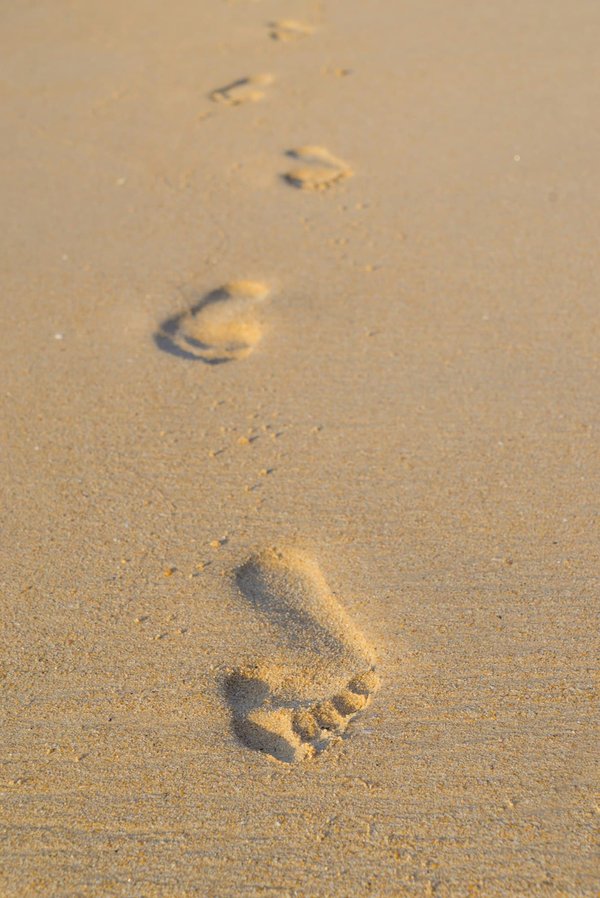 Évadez-vous vers un petit coin de paradis dans le pacifique
